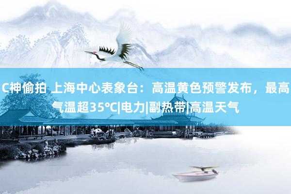 C神偷拍 上海中心表象台:高温黄色预警发布,最高气温超35℃|电力|副热带|高温天气