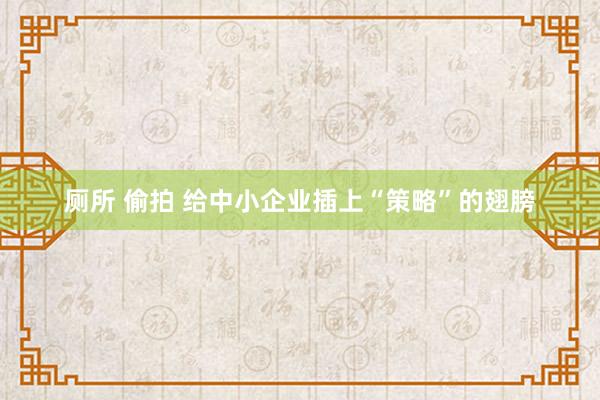 厕所 偷拍 给中小企业插上“策略”的翅膀